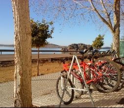 Alquiler de bicicletas