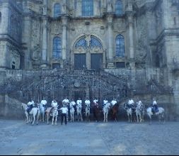 Todos los caminos llevan a Santiago