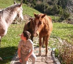 En armonía con los caballos.