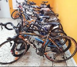 Alquiler y rutas de bicicletas