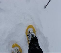 Raquetas de nieve