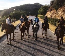 paseo en grupo