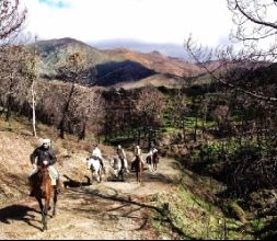 ruta a Caballo por los montes d Marbella