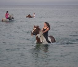 ruta a caballo por la playa