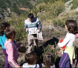 Aprendiendo y jugando al aire libre