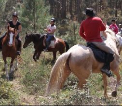 Paseos a caballo