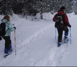 Raquetas de nieve