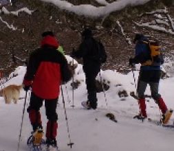 Raquetas de nieve