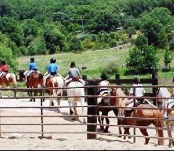 Rutas a caballo en Madrid