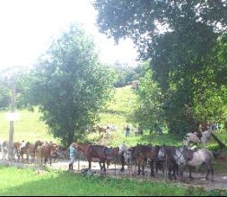 Concentración de T.R.E.C. Arenal 2014