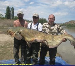 PESCA GUIADA DEL SILURO