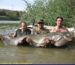 PESCADOR GUIA DEL SILURO