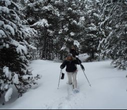 Raquetas de nieve en la Cerdanya