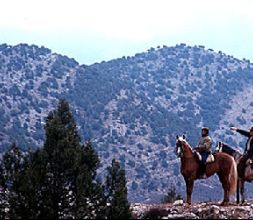 Rutas guiadas a caballo