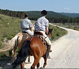 Rutas a caballo