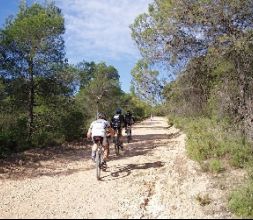 BTT en Venta del Moro