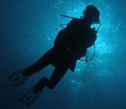 Cursos de buceo