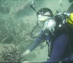 Escuela de buceo en Tarragona