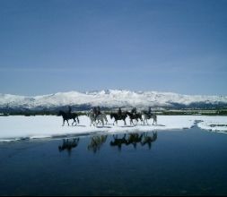 un día de primavera, con GREDOS detras.