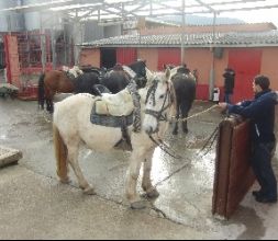 Recien llegados de una excursión.