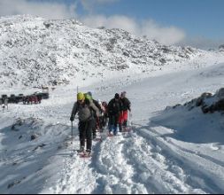 Raquetas de nieve