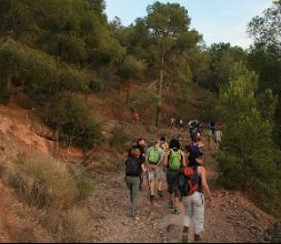 Ruta Nocturna a El Puntarrón