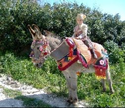 Burro aparejado y arriero