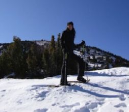 Raquetas de nieve