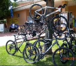 Alquiler de bicicletas