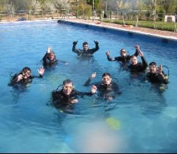 BUCEO DESPEDID@S