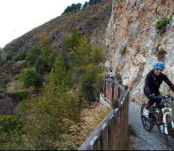 Ruta organizada en bicicleta de montaña