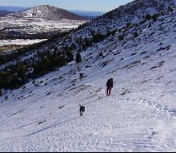 Excursiones con raquetas de nieve