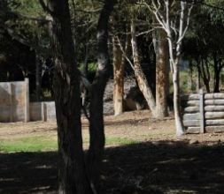 campo3 paintball bosque