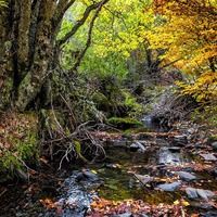 Deportes de aventura en Alustante