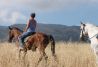 Paseo a Caballo