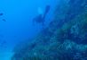 Buceo en Cabo de Gata