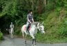 Paseos y rutas a caballo