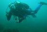 Buceo en Cantabria