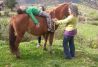 Actividades con caballos para familias