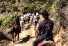 paseo a caballo por Marbella