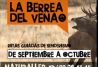 La berrea del venado en Asturias