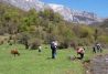 Parque Natural de Ubiñas-La Mesa 