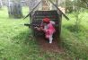 paintball laser