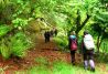 Excursiones por los bosques de Asturias