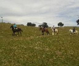 Empresa Paseo a Caballo