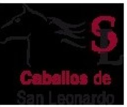 Empresa Caballos de San Leonardo