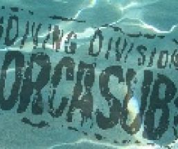 Empresa Diving Division Orcasub