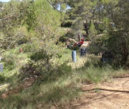 Empresa Multiaventura en el bosque