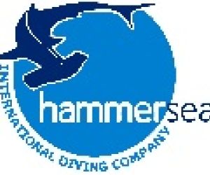 Empresa Hammersea SL