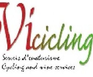 Empresa Vicicling.com